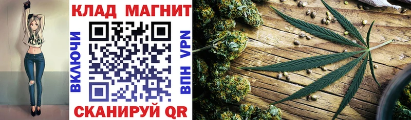 МЕФ Ельня