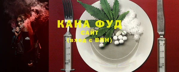 индика Вязьма