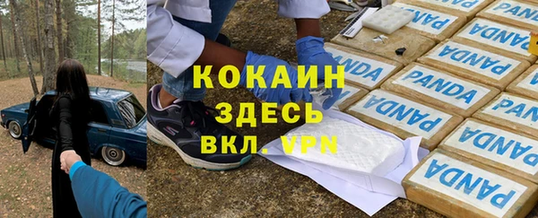 прущая мука Бородино