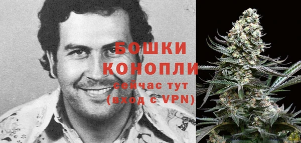 индика Вязьма
