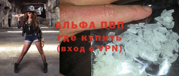 индика Вязьма