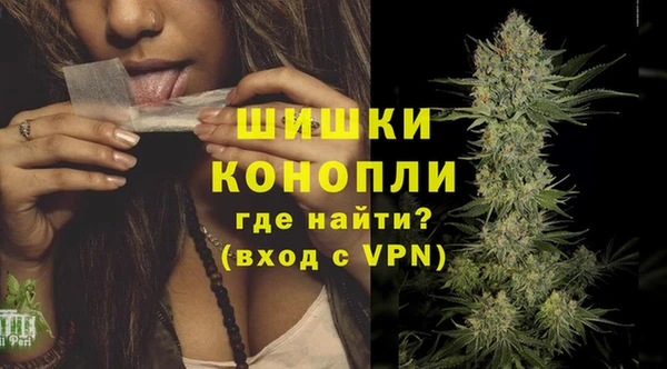 индика Вязьма