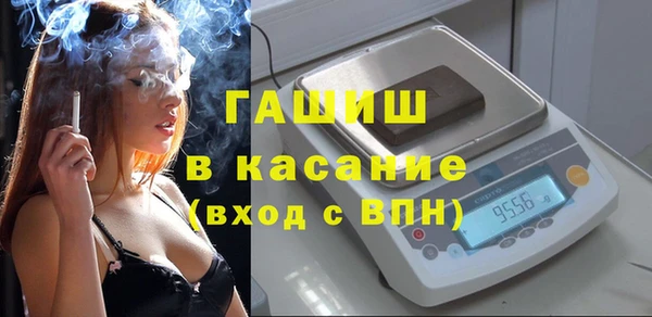 индика Вязьма