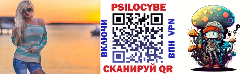 shop наркотические препараты  Ельня  Галлюциногенные грибы Psilocybine cubensis 